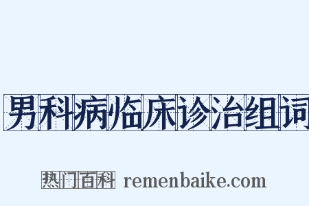 男科病临床诊治组词是什么意思的图片